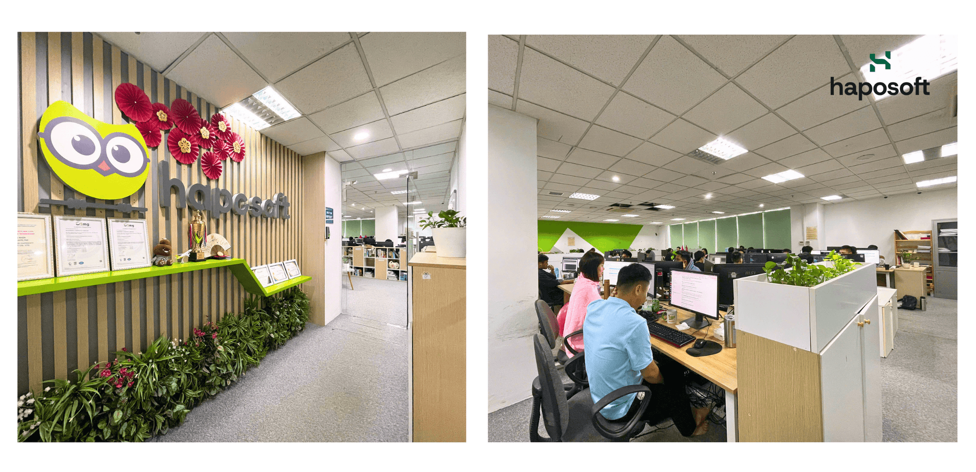 Haposoft Old Office 2018–2025